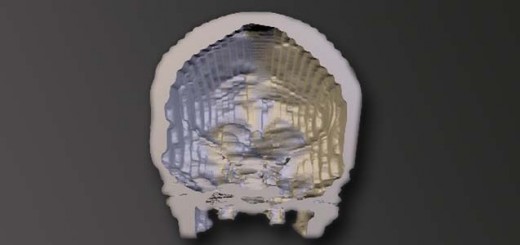 3dmodel of skull